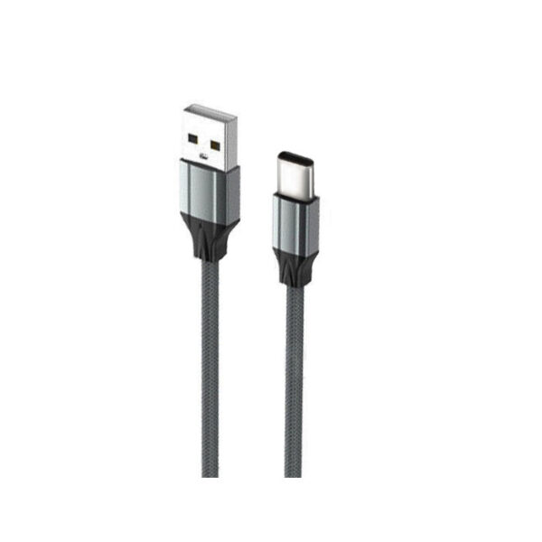 کابل تبدیل USB به USB-C الدینیو مدل LS441  طول 1 متر